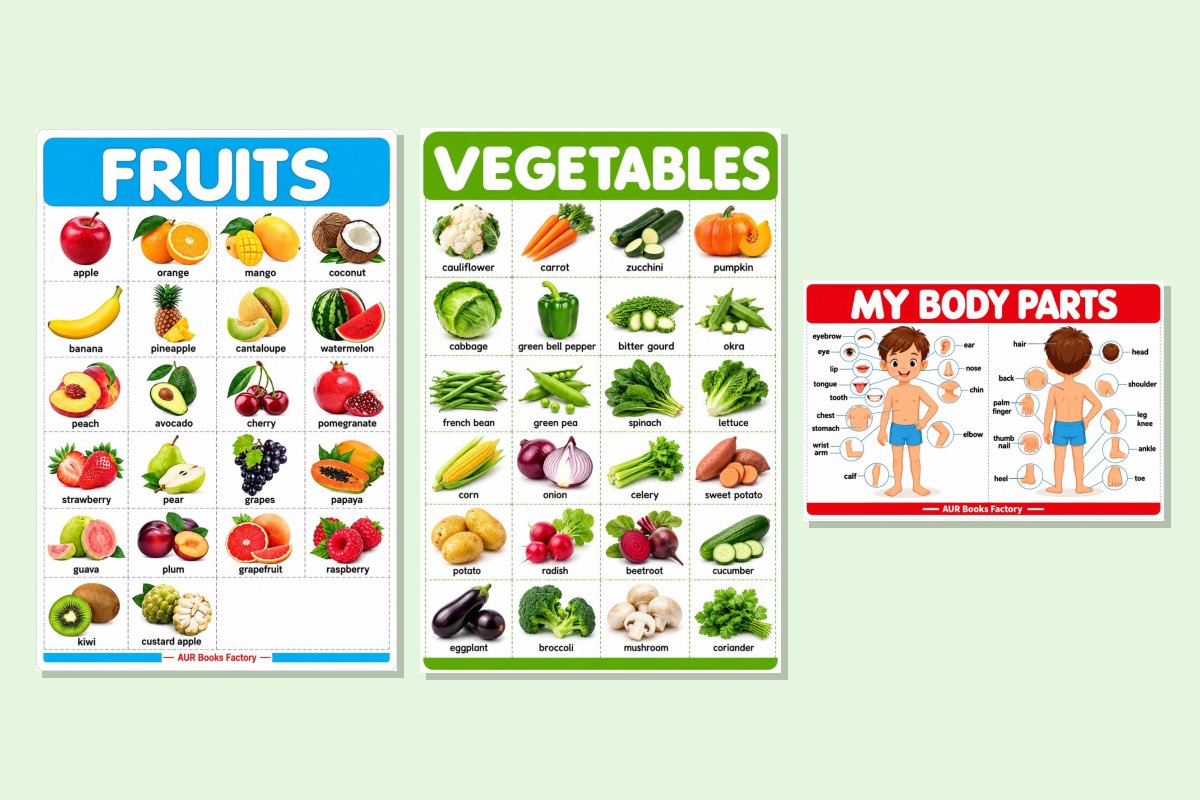 Healthy Food & My Body Wall Charts Combo (Set of 3)
