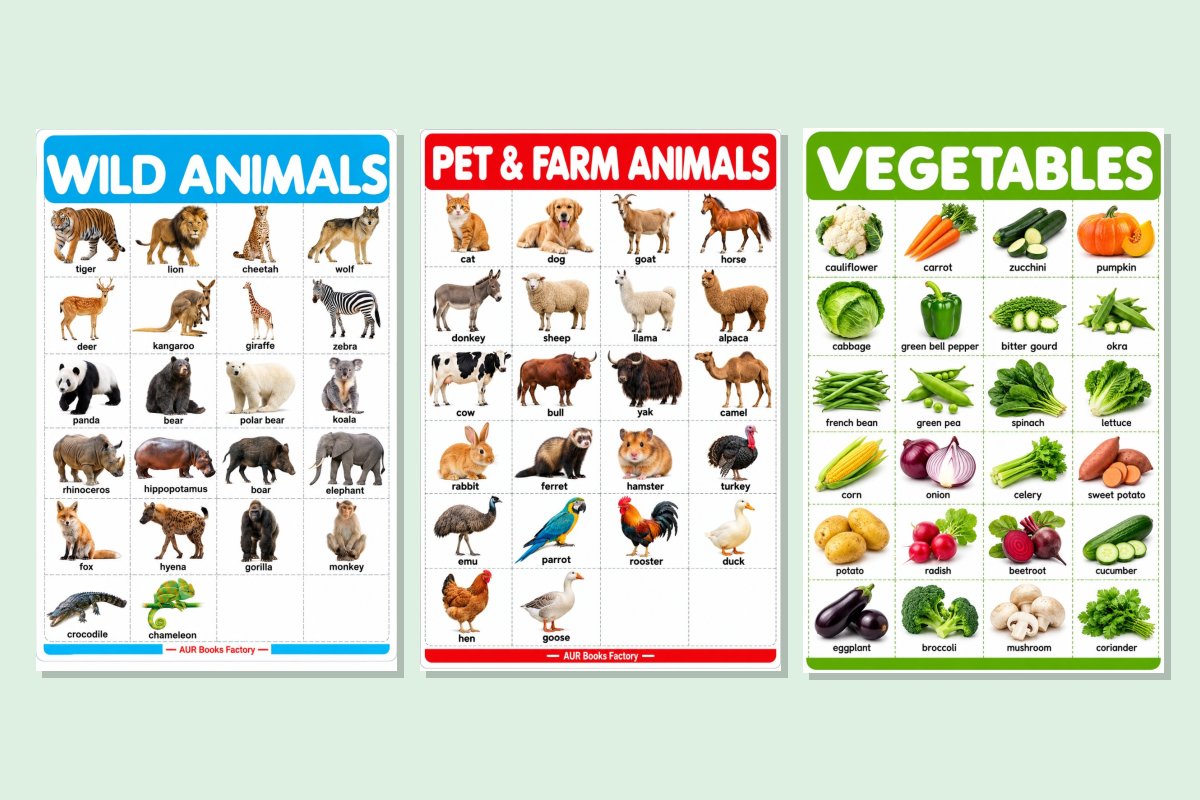 Nature Explorer Wall Charts Combo (Set of 3)