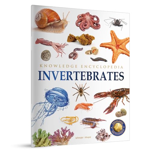 Animals - Invertebrates : Knowledge Encyclopedia For Children