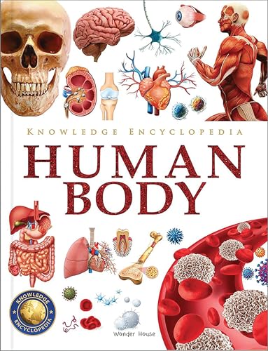 Knowledge Encyclopedia - Human Body