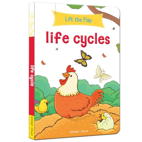Lift the Flap: Life cycles : Early Learning Novelty Board Book For Children