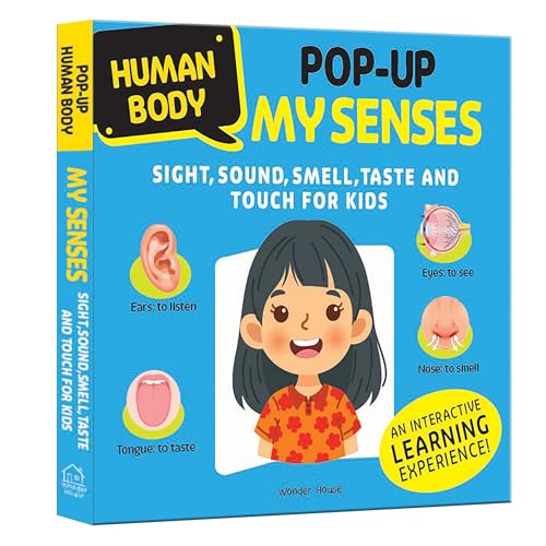 Pop-up: My Senses